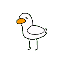 Frank, founder of codeBLOCK
